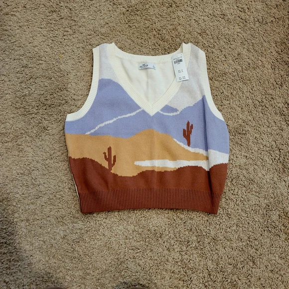 Hollister V-Neck Sweater Vest - Cream, Brown, Blue - Picture 1 of 4